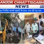 आवारा कुत्तों की नसबंदी अभियान से शहर को मिली राहत