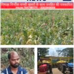 आमाघाट में अवैध अफीम की खेती का भंडाफोड़, झारखंड का आरोपी गिरफ्तार,60 हजार से अधिक अफीम पौधे और तैयार अफीम बरामद, दो आरोपी फरार,