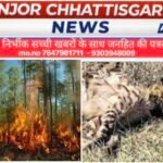 लकड़बग्घे की तड़पकर मौत से वन प्रबंधन पर उठे गंभीर सवाल, जंगल कटे तो गांवों में भटक रहे जंगली जानवर