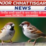 गौरैया के संरक्षण को लेकर बढ़ी चिंता, जागरूकता और ठोस कदमों की उठी मांग