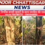 जंगल के रक्षक ही बने भक्षक ग्रामीणों में उबाल महुआ पेड़ कटने पर उग्र आंदोलन की चेतावनी