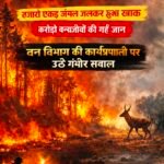 चांदनी बिहारपुर रेंज के जंगल में भीषण आग, हजारों एकड़ वन क्षेत्र जलकर खाक