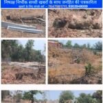 तानाखार में शासकीय जमीन पर कब्जे का खेल! पेड़ों की कटाई पर वन विभाग मौन, राजस्व प्रशासन भी सवालों के घेरे में