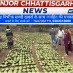 हरा सोना संग्राहकों की आय बढ़ाने की दिशा में बड़ा कदम