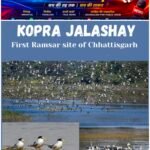 कोपरा जलाशय बना पर्यावरण संरक्षण की मिसाल, छत्तीसगढ़ का पहला रामसर स्थल घोषित
