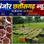 जशपुर में फलों की क्रांति: अब सेब की खेती से बदल रही किसानों की तकदीर