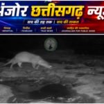 उदंती-सीतानदी में ऊदबिलाव की मौजूदगी से बढ़ी पर्यावरण संरक्षण की उम्मीद