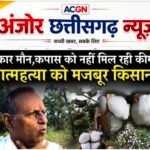कपास किसानों की बर्बादी : शुल्क मुक्त आयात से बढ़ी चिंता, किसान संगठनों ने उठाए गंभीर सवाल