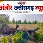 तालाब निर्माण के नाम पर हरे-भरे पेड़ों की बलि! वन विभाग की कार्यप्रणाली पर उठे गंभीर सवाल