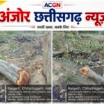 पर्यावरण मंत्री के गृह जिले में हरियाली का सामूहिक नरसंहार! ‘एक पेड़ मां के नाम’ अभियान के बीच 60 से अधिक पेड़ों पर चली आरी