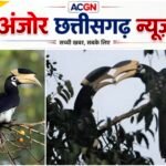 उदंती-सीतानदी टाइगर रिजर्व में शुरू होगी ‘हॉर्नबिल सफारी’, संरक्षण के साथ ग्रामीणों को मिलेगा रोजगार