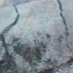 मेंढ़ुका आंगनबाड़ी का छज्जा गिरा, विभागीय लापरवाही पर उठे सवाल,