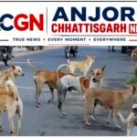 आवारा कुत्तों के बढ़ते हमलों पर चिंता, हर ब्लॉक में नसबंदी केंद्र खोलने की उठी मांग