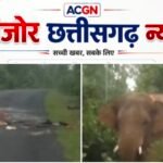 हाथी से आमना-सामना, सूझबूझ से बची युवक की जान; गुस्साए गजराज ने बाइक को किया चकनाचूर