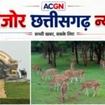 जंगल के बीच रोमांच, संरक्षण का संदेश… क्यों बन रही है नंदनवन सफारी पर्यटकों की पहली पसंद?