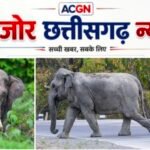 हाथियों से जंग नहीं, समझदारी से संग! कोरबा बना देश का नया ‘एलिफेंट मैनेजमेंट मॉडल’