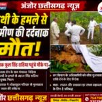 हाथी के हमले में ग्रामीण की दर्दनाक मौत, विधायक फूल सिंह राठिया पहुंचे पीड़ित परिवार के बीच