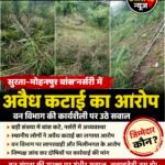 सुरता–मोहनपुर बांस नर्सरी में बांस कटाई से मचा हड़कंप, वन विभाग की कार्यप्रणाली पर गंभीर सवाल