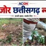 जंगल में जमीन के अंदर दफन मिला सड़ा-गला शव, इलाके में मचा हड़कंप