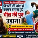 दस दिन तक मौत से जंग… फिर खुला आसमान! मंत्री राजेश अग्रवाल ने जैसे ही खोला पिंजरा, पंख फैलाकर दूर निकल गई