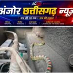 धरमजयगढ़ से कोरबा तक ट्रक में छिपकर आया ‘रहस्यमयी मेहमान’!कहां से आया, कब चढ़ा? ‘उड़ने वाले सांप’ ने बढ़ाया रहस्य!
