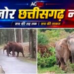 उदयपुर के जंगलों में हाथियों की दस्तक! कहीं 12 तो कहीं 15 हाथियों का दल, ग्रामीणों में बढ़ी चिंता
