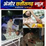 गौवंश बना हादसे की वजह, बाइक सवार दो युवक घायल