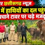 बंजारी में हाथियों का दल पहुंचा, जान बचाने टावर पर चढ़े मजदूर