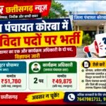 जिला पंचायत में 3 संविदा पदों पर भर्ती, 51 हजार तक मानदेय