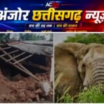 सुबह 3 बजे गांव में घुसा हाथियों का झुंड, मच गया हाहाकार! मकान तोड़े, खूंटे से बंधे मवेशियों को कुचला